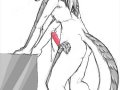squirt2.jpg
